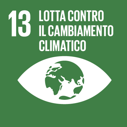 Logo dell’Obiettivo 13 dell’Agenda 2030: Lotta contro il cambiamento climatico.